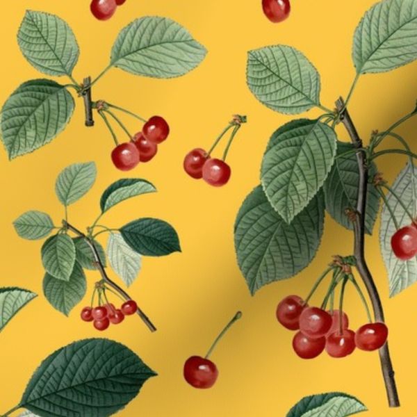 CHERRY HARVEST - RIPE CHERRIES COLLECTION (YELLOW)