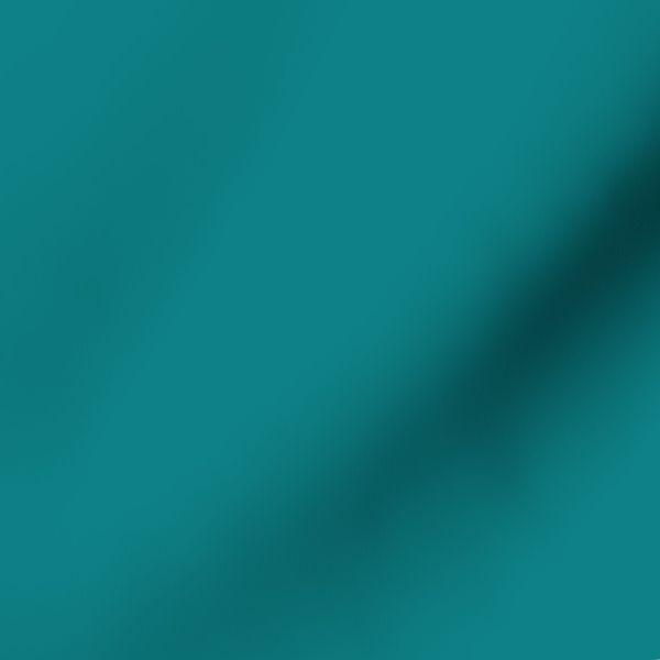 Teal Solid - Fishing Lures Coordinate
