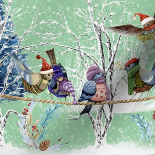 Little Winter Birds