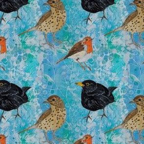 backyard winter birds 2
