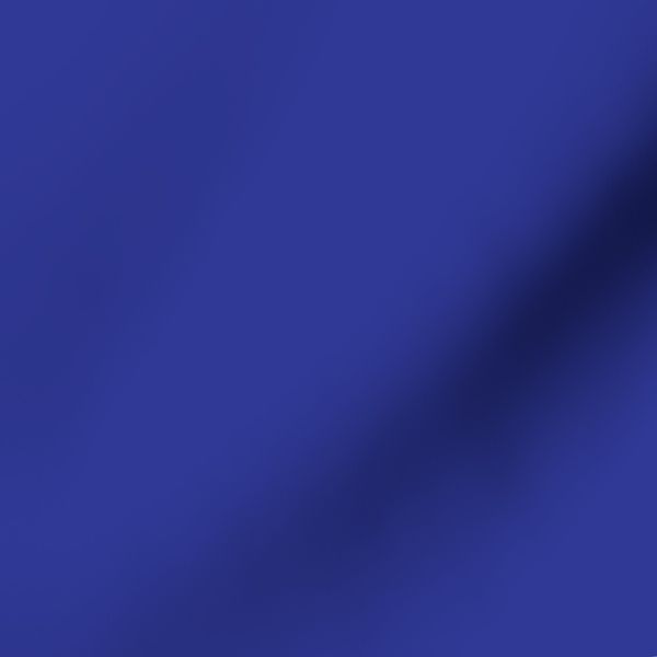 Vikings solid blue
