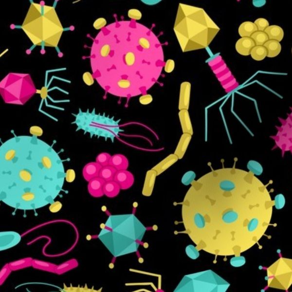 Viruses & Bateria (CYMK)