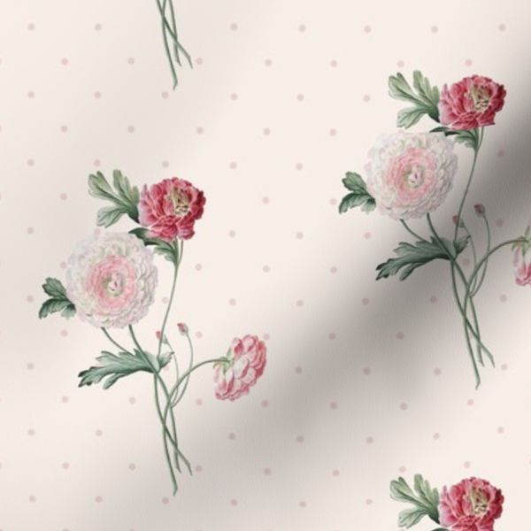 Delicate pink ranunculus