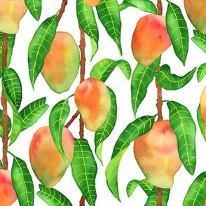Large. Mango fruit tree by daniella_perera_studio Large. Mango fruit tree