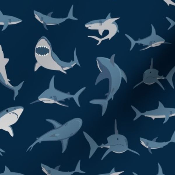 Sharks Rule