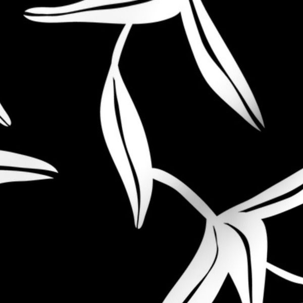 Elegant Leaf Vine Botanical - Minimalist Foliage Leaf Toss Black White (J)