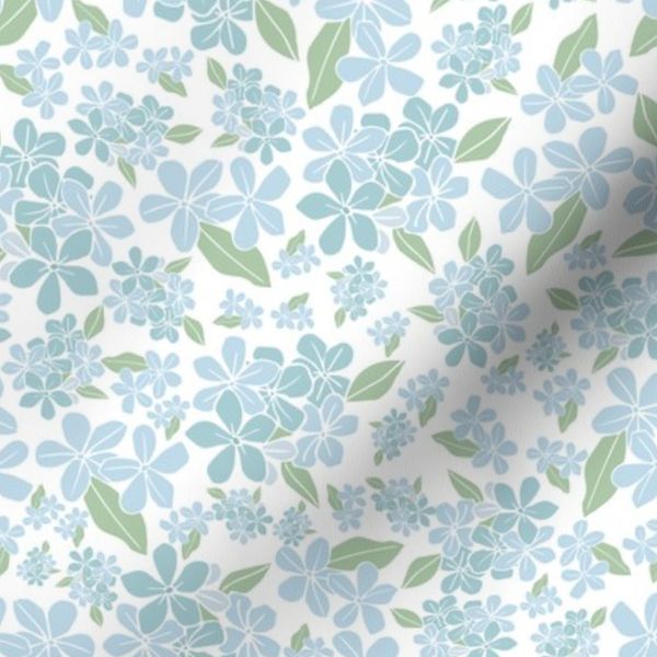 Plumbago 2 White