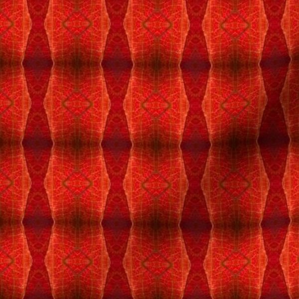 F4FB0C0E-AB1C-4220-98BC-C0C1C6841C4B