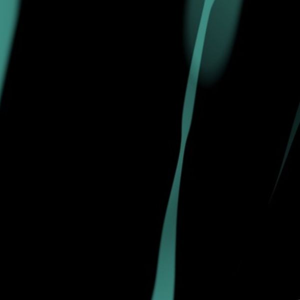 Color Fun Teal and Black - 2.1