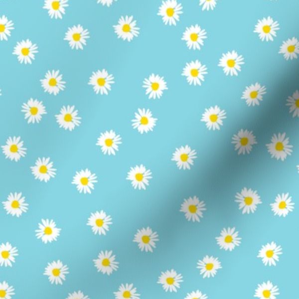 Daisies on aqua