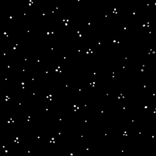 Medium - Ditsy polka dot scattered snow pattern - black and white