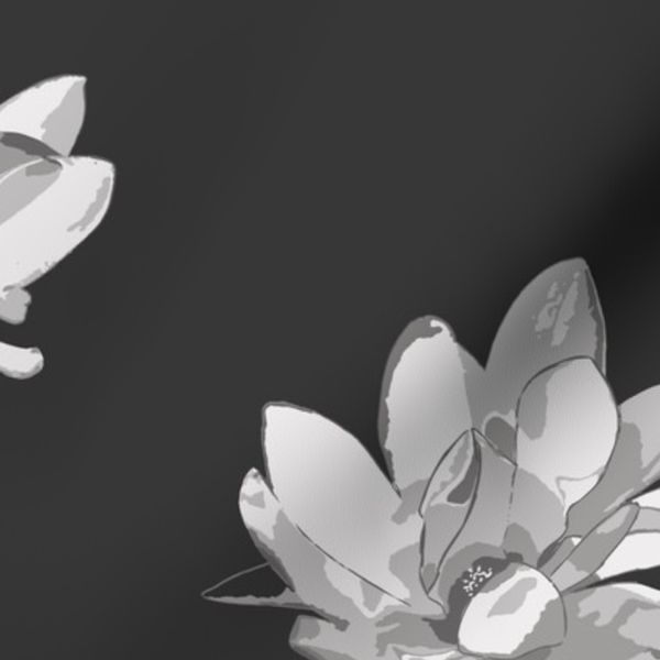 (l) floating magnolias at midnight black and white large scale