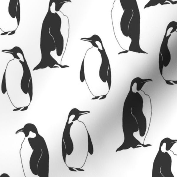 King Penguins
