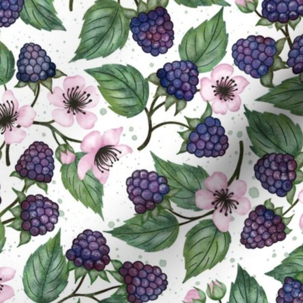 (M) Blackberries on Branch blue and pink- textured white background