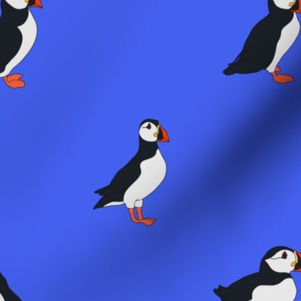 Puffins Blue