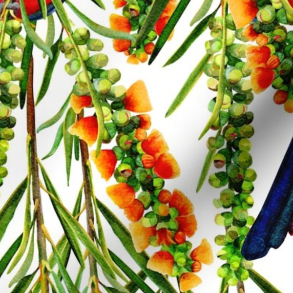 King Parrot Bottlebrush Pattern