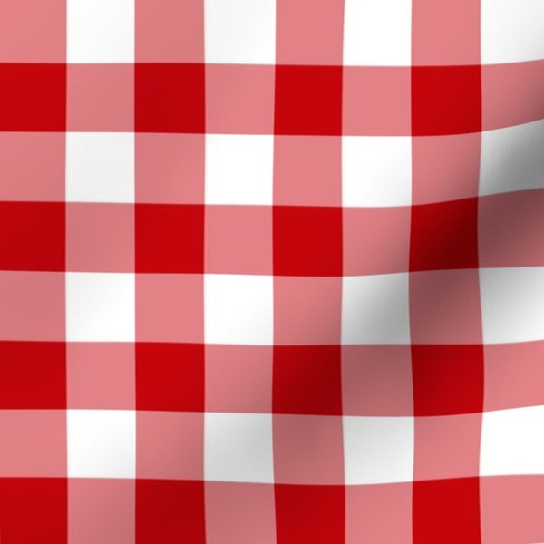Wisconsin Red and White - 1 Inch Check