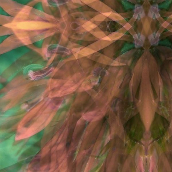 Green and Coral Kaleidoscope Stripes - Large Scale