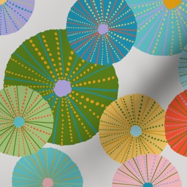 Rainbow Sea Urchins Multi-Color Modern Sea Shells