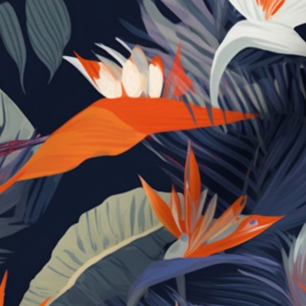 Tropical 27