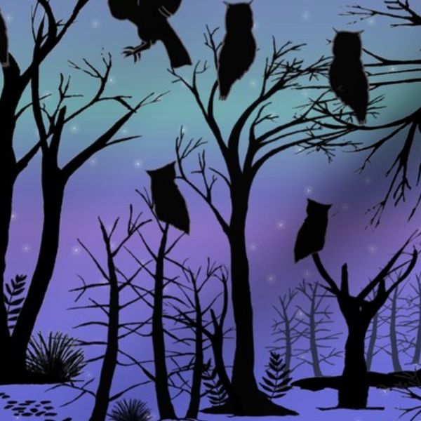Owl Parliament Silhouette - Northern Light