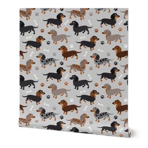 Long haired Dachshund Dogs Small Scale Gray