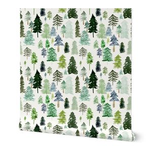 Small / Pine Forest
