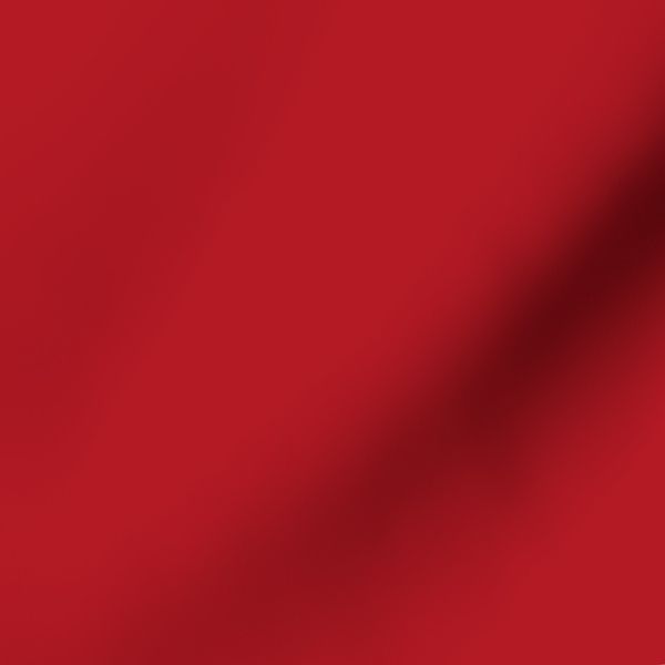 Vivid Red Solid Color Pairs Adrenaline Rush 18 1553 TCX Pantone 2024