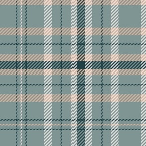 Sage blue neutral fall plaid