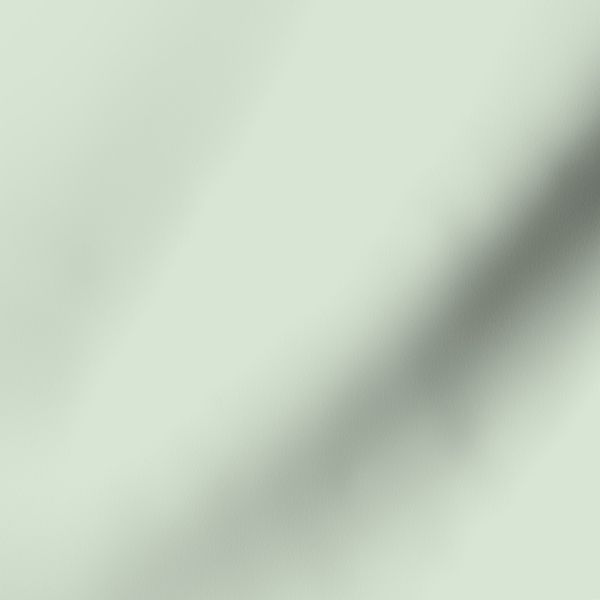 Basic Pastel Sweet Mint Tea green Solid Fabric Hex code d8e5d4 Coordinate