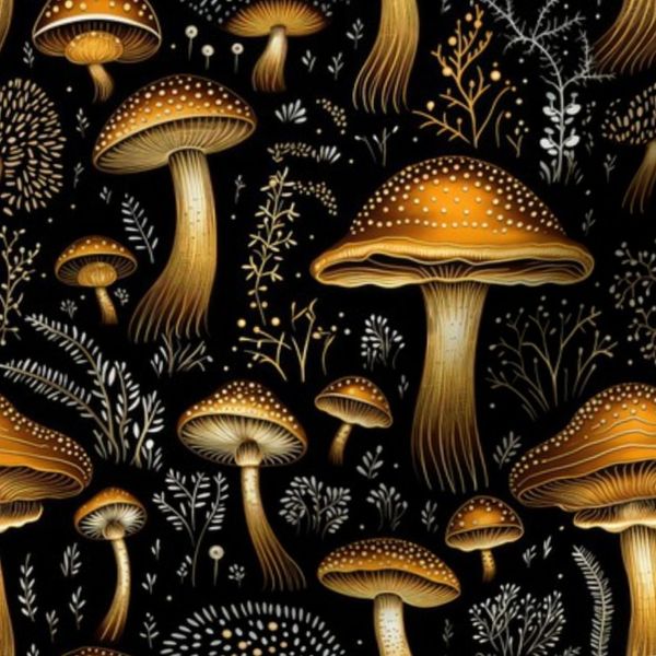 Black Gold Mushroom