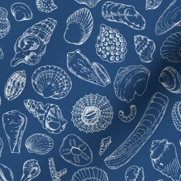 Seashells blue on white line art