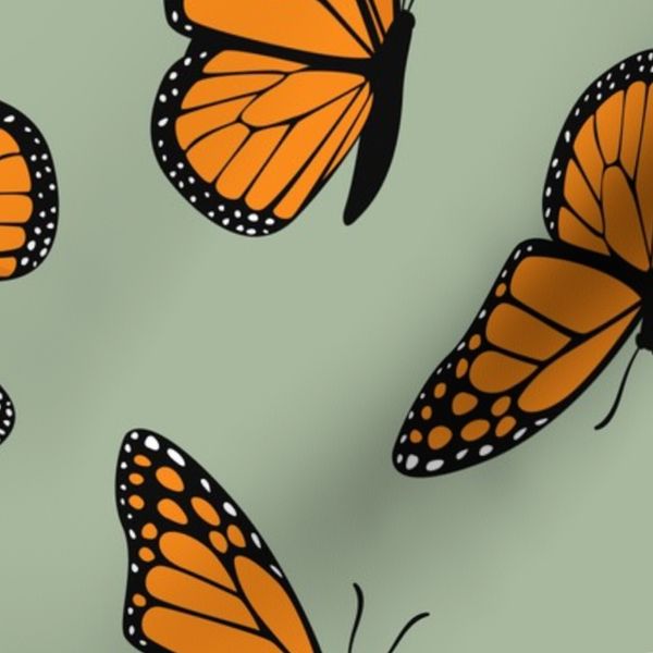 Monarch butterflies - sage - C24