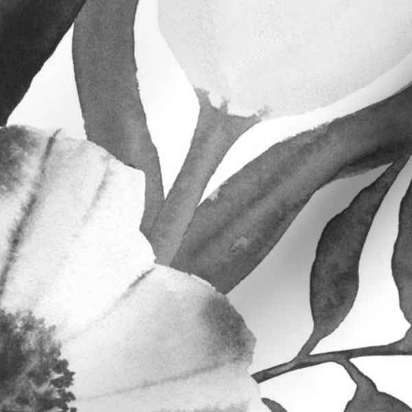 xl Tulip dahlia daisy garden flower bunches - grayscale on pure white