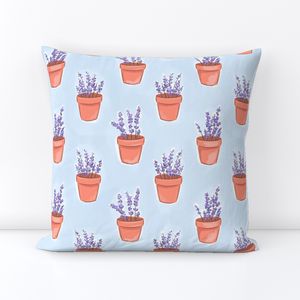 Lavender in pot blue big