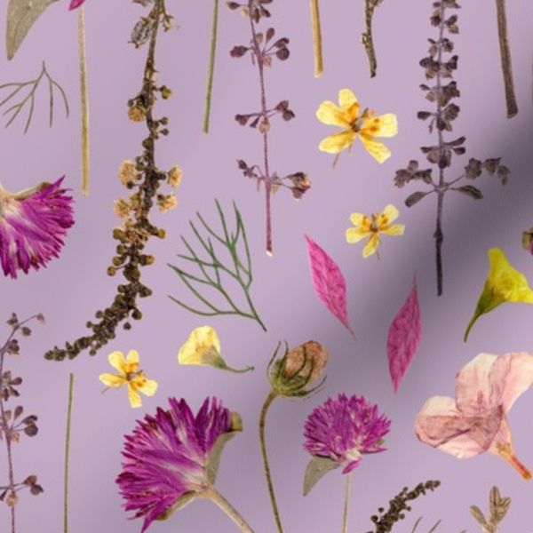 21001 F (medium-scale) Pressed Flowers