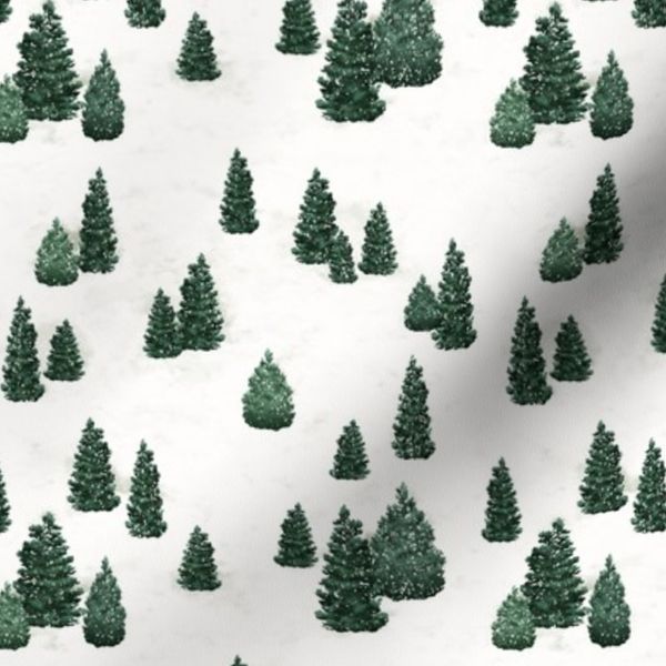 Pine Trees and Snow