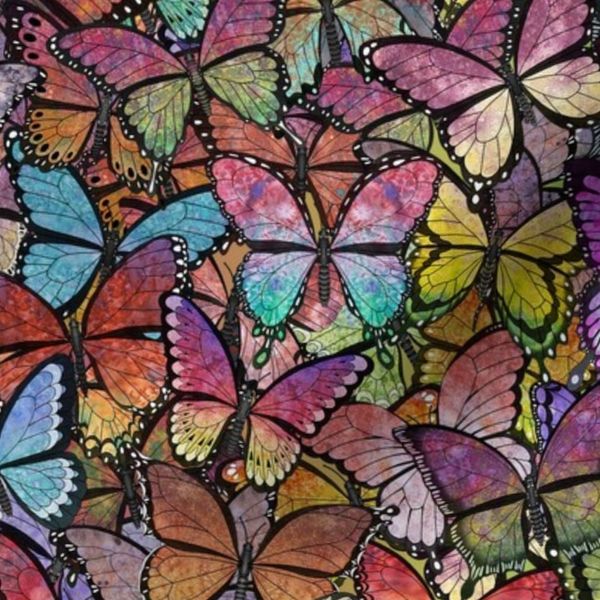 rainbow butterflies brite version large