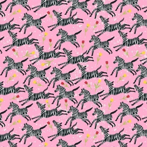 Zebras