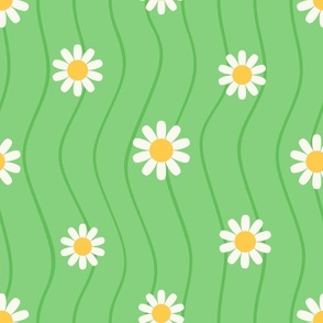 Daisy