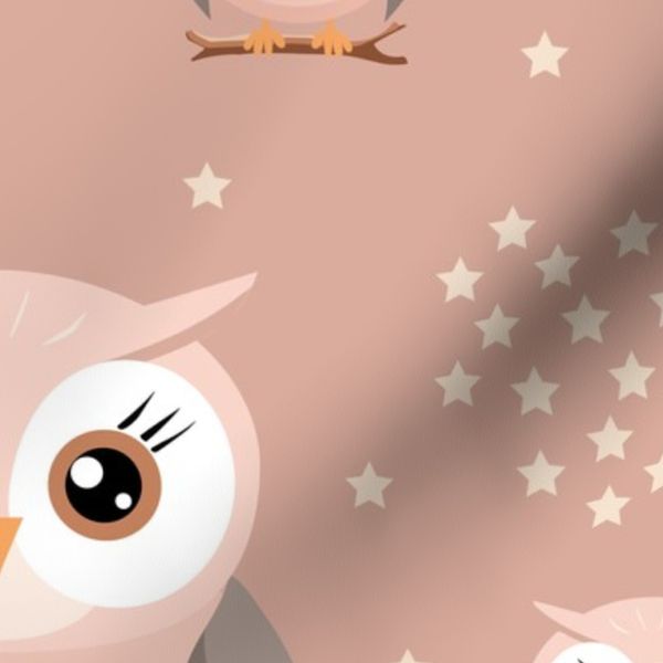 Blush Owls on Terracotta - Soft Pink & Grey