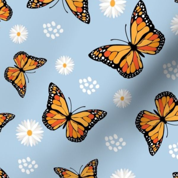 Butterfly daisy