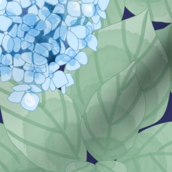 Hydrangea Blu