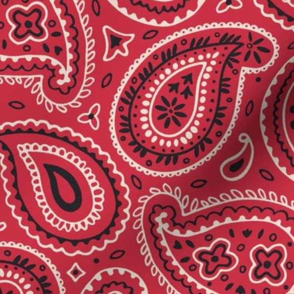 Paisley Teardrops - Tomato Red - Southwestern Bandana-Style Boteh