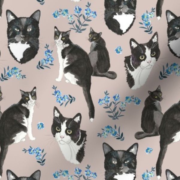 small Black and White Cats with Forget Me Not Blue Flowers sand background