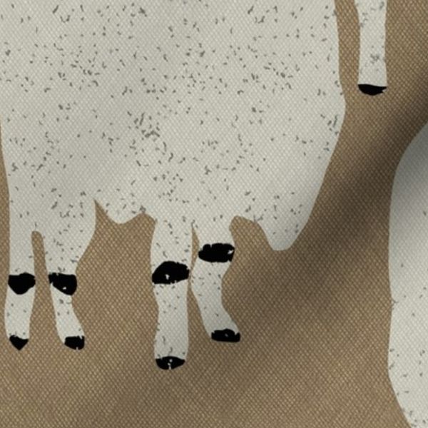 A Trio of Curious Sheep