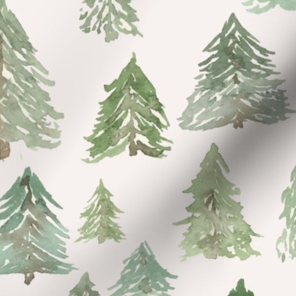 Forest Evergreens