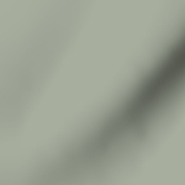 Seaside Mist Sage/ Solid Print/ Earthy Cool-Tone/ Tranquil Coastal Holiday