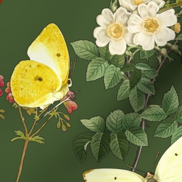 Apple Blossom and Butterflies Heritage Illustrations Dark Green Background