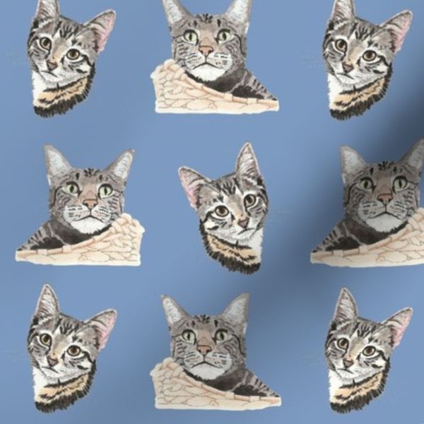 Tiger stripe cat and kitten blue